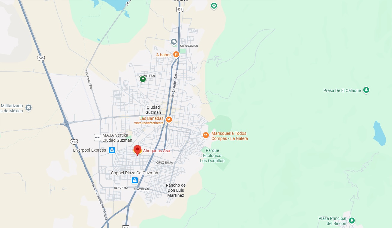 Mapa de Ciudad Guzmán